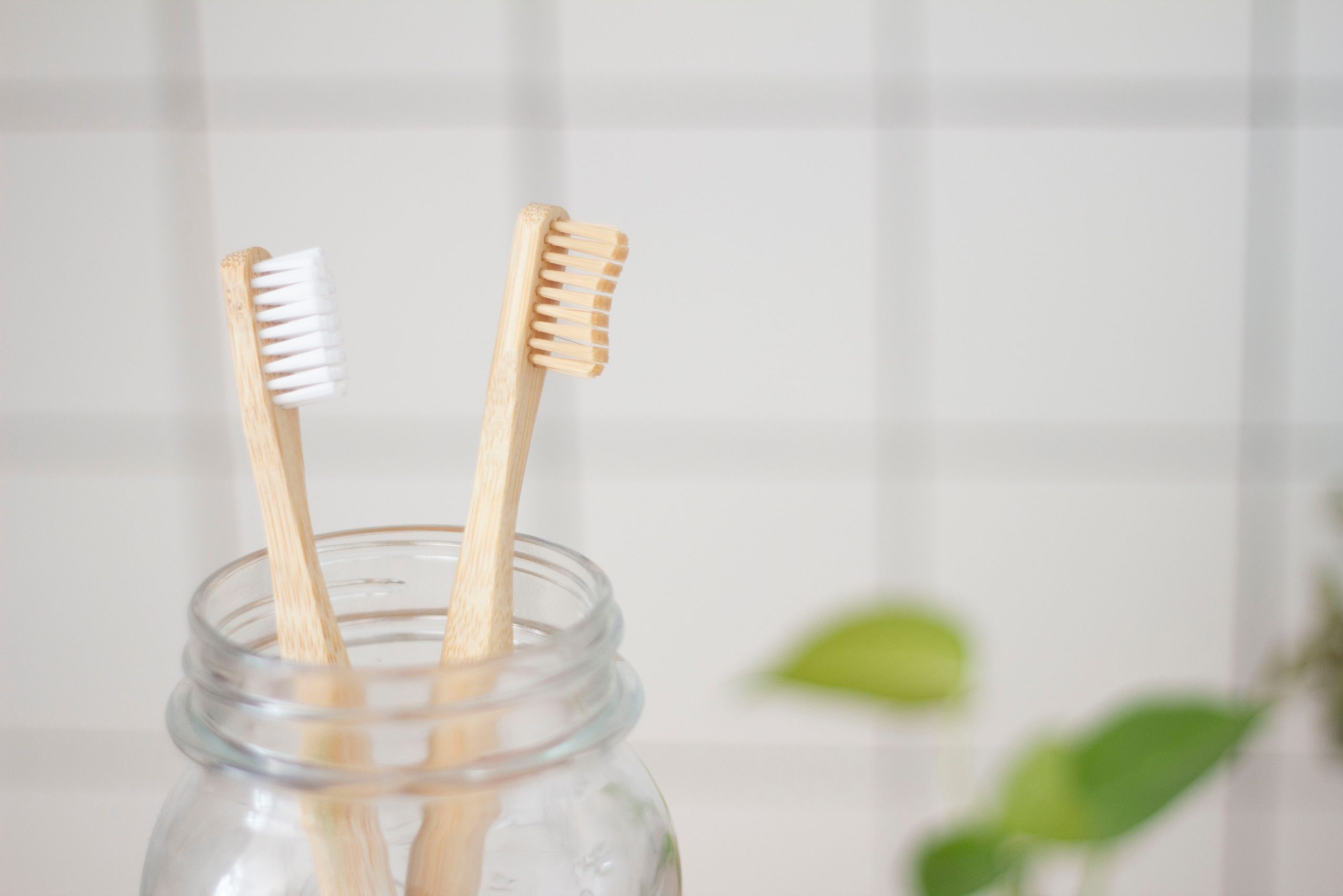 Brosses-dents-bambou-min
